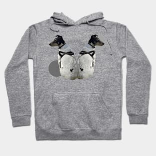 Fox terrier dog Hoodie